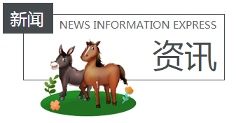 中秾鼎鑫新聞動態(tài)